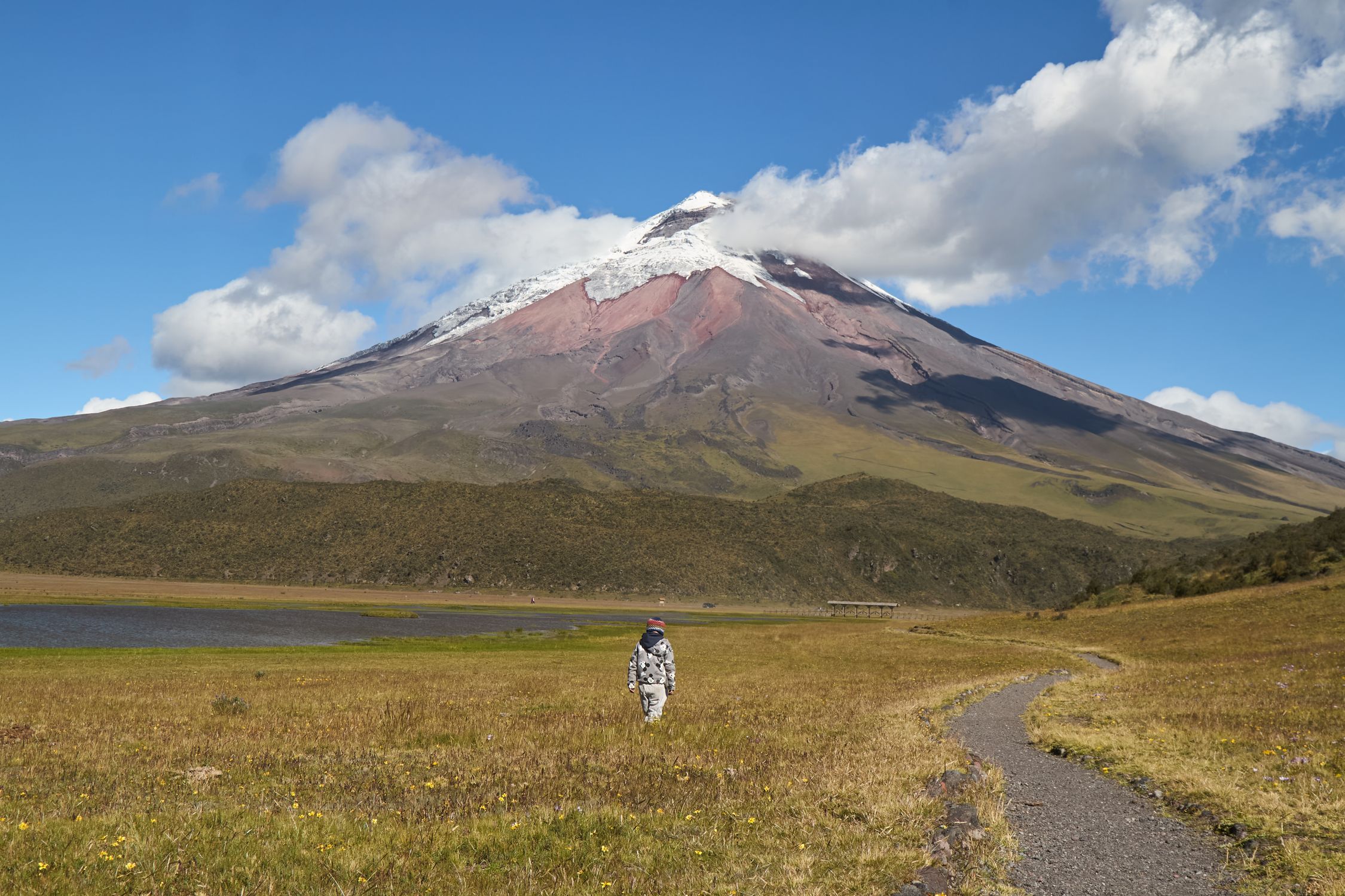 Hiker in Cotopaxi National Park with majestic snow-covered Cotopaxi volcano in the background